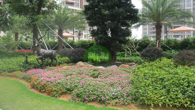 高尔夫球场草坪养护成本解析