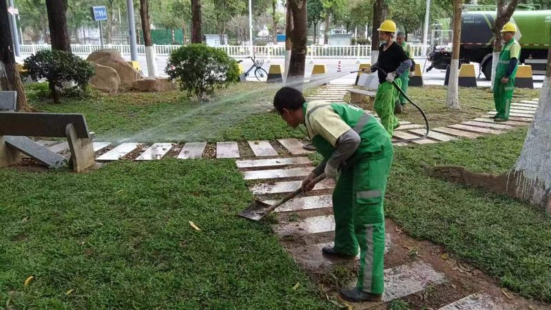 道路绿化植物配置与养护：区别与要点
