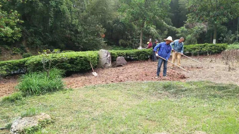 预算报价总是超？问题出在绿化工程的特殊性上