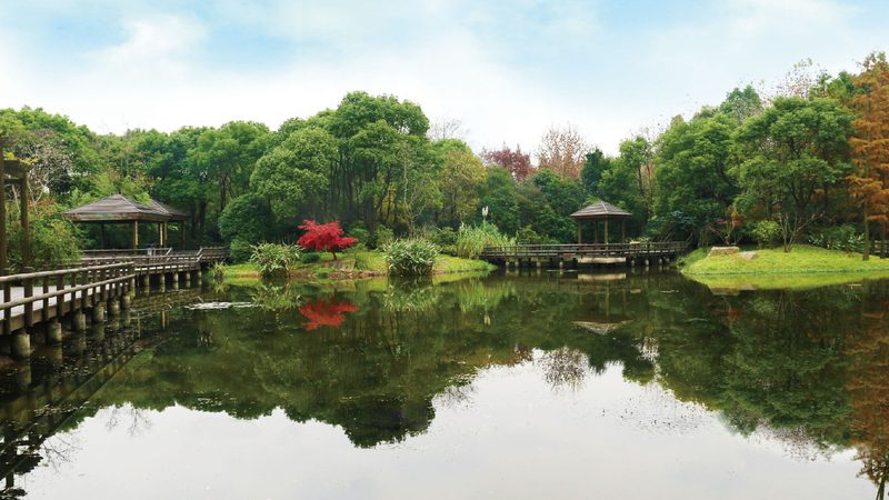 草坪铺设最佳季节是什么时候