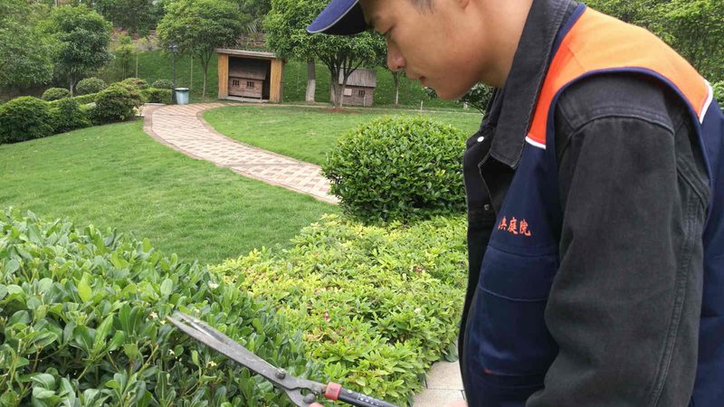 立体绿化墙的基质选择：岩棉为何不再是唯一答案