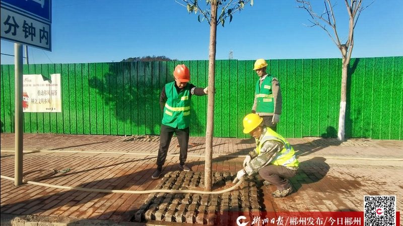 北京园林绿化种植密度要求解析