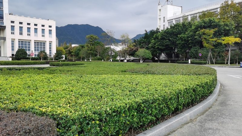 园林绿化工程预算定额表：如何准确评估成本**